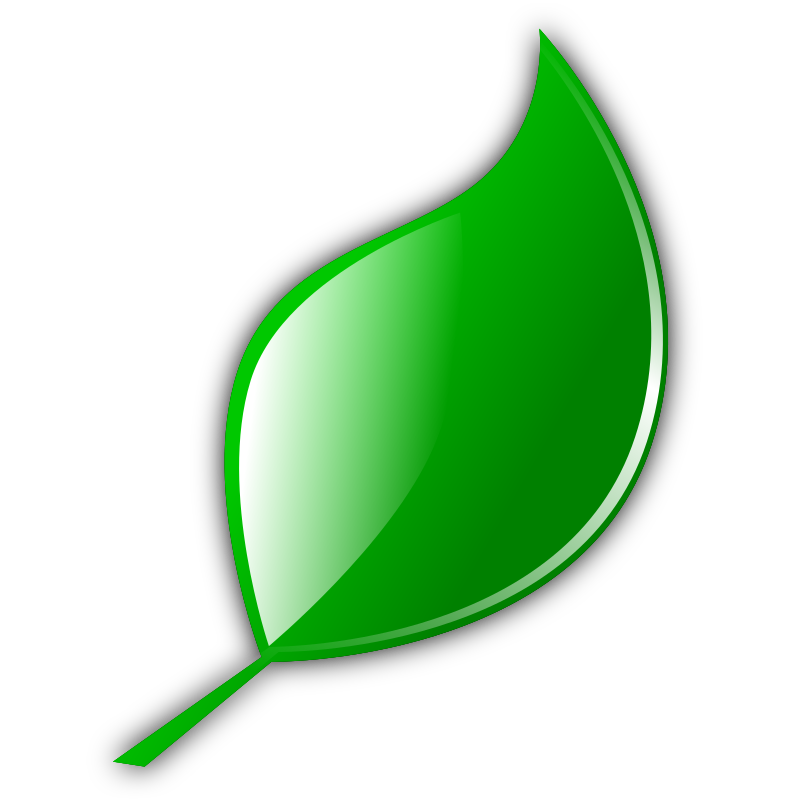leaf image